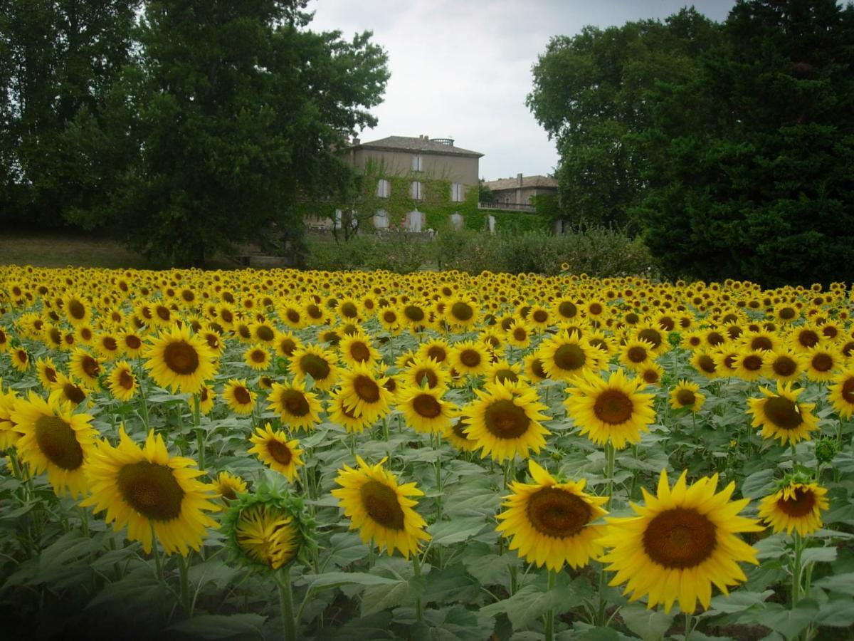 Domaine De Lamartine Pont-Saint-Esprit Exterior photo